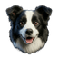 Otto Home